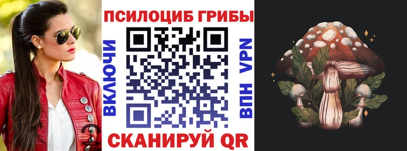 Псилоцибиновые грибы Psilocybine cubensis  Камешково 