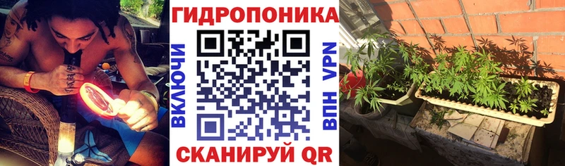 Бошки марихуана план  Камешково 